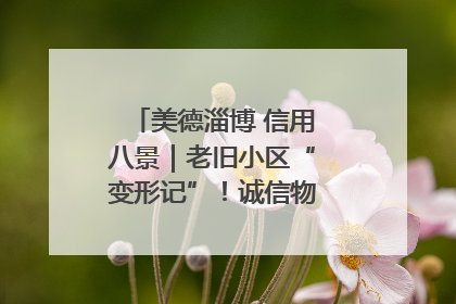 美德淄博 信用八景｜老旧小区“变形记”！诚信物业焐热居民心窝