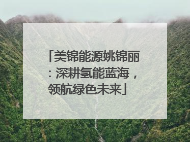 美锦能源姚锦丽：深耕氢能蓝海，领航绿色未来