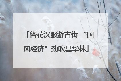 簪花汉服游古街 “国风经济”劲吹昙华林