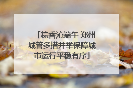 粽香沁端午 郑州城管多措并举保障城市运行平稳有序