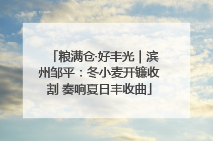 粮满仓·好丰光｜滨州邹平：冬小麦开镰收割 奏响夏日丰收曲