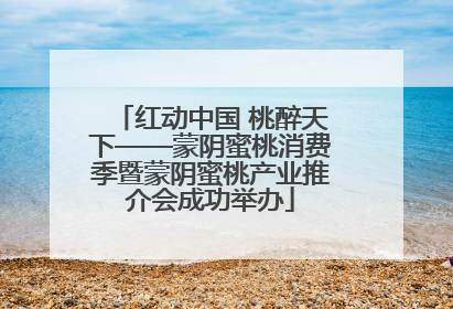 红动中国 桃醉天下——蒙阴蜜桃消费季暨蒙阴蜜桃产业推介会成功举办