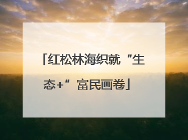 红松林海织就“生态+”富民画卷
