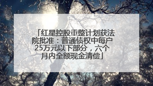 红星控股重整计划获法院批准：普通债权中每户25万元以下部分，六个月内全额现金清偿