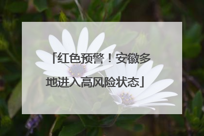 红色预警！安徽多地进入高风险状态