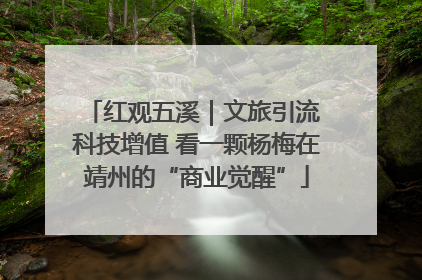红观五溪｜文旅引流 科技增值 看一颗杨梅在靖州的“商业觉醒”