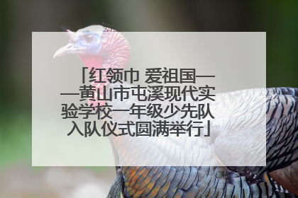 红领巾 爱祖国——黄山市屯溪现代实验学校一年级少先队入队仪式圆满举行