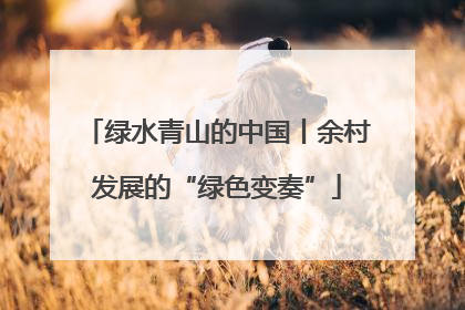 绿水青山的中国丨余村发展的“绿色变奏”