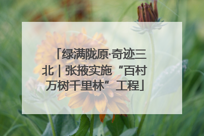 绿满陇原·奇迹三北｜张掖实施“百村万树千里林”工程