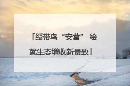 绶带鸟“安营” 绘就生态增收新景致