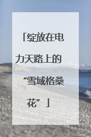 绽放在电力天路上的“雪域格桑花”