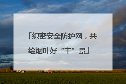 织密安全防护网，共绘烟叶好“丰”景