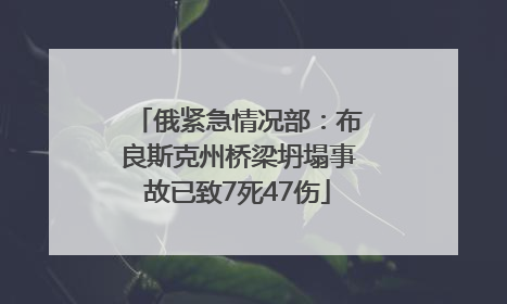 俄紧急情况部：布良斯克州桥梁坍塌事故已致7死47伤