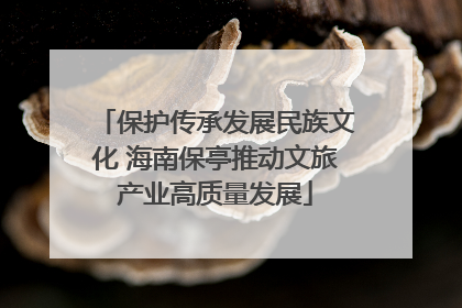 保护传承发展民族文化 海南保亭推动文旅产业高质量发展