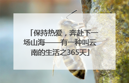 保持热爱，奔赴下一场山海——有一种叫云南的生活之365天