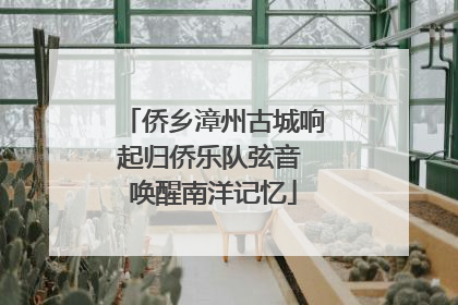 侨乡漳州古城响起归侨乐队弦音 唤醒南洋记忆