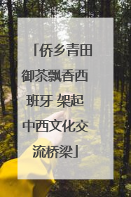 侨乡青田御茶飘香西班牙 架起中西文化交流桥梁