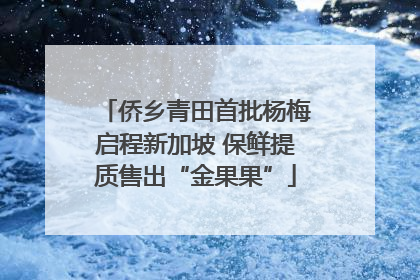 侨乡青田首批杨梅启程新加坡 保鲜提质售出“金果果”