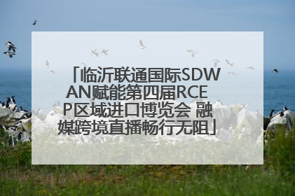 临沂联通国际SDWAN赋能第四届RCEP区域进口博览会 融媒跨境直播畅行无阻