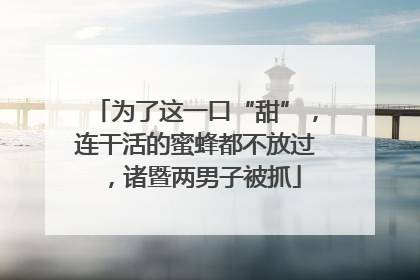 为了这一口“甜”，连干活的蜜蜂都不放过，诸暨两男子被抓
