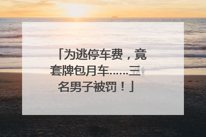 为逃停车费，竟套牌包月车……三名男子被罚！