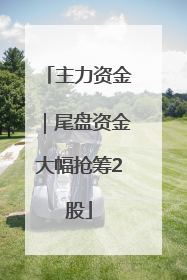 主力资金｜尾盘资金大幅抢筹2股