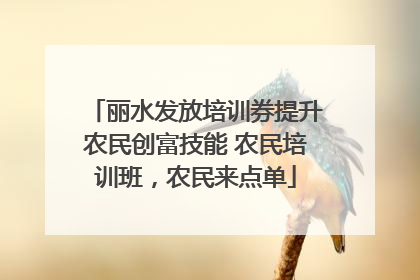 丽水发放培训券提升农民创富技能 农民培训班，农民来点单