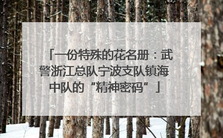 一份特殊的花名册：武警浙江总队宁波支队镇海中队的“精神密码”