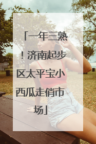 一年三熟！济南起步区太平宝小西瓜走俏市场