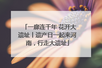 一廊连千年 花开大遗址丨遗产日一起来河南，行走大遗址