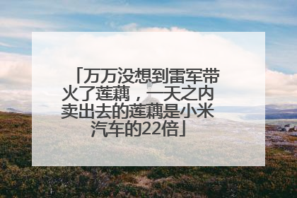 万万没想到雷军带火了莲藕，一天之内卖出去的莲藕是小米汽车的22倍