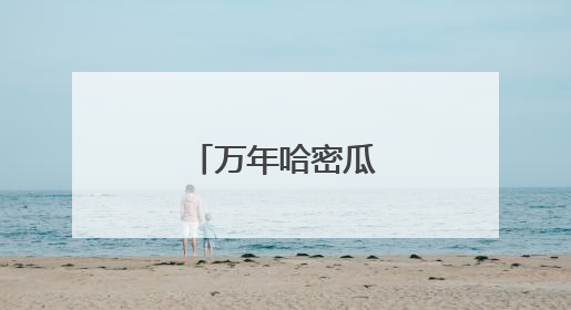 万年哈密瓜甜蜜上市了