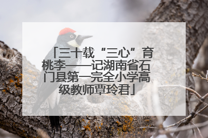 三十载“三心”育桃李——记湖南省石门县第一完全小学高级教师覃玲君