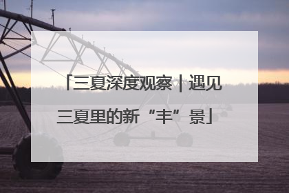 三夏深度观察｜遇见三夏里的新“丰”景