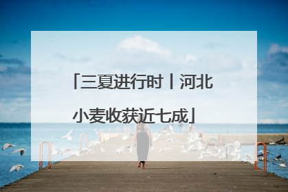 三夏进行时丨河北小麦收获近七成
