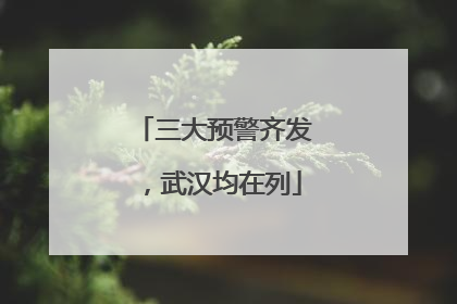 三大预警齐发，武汉均在列