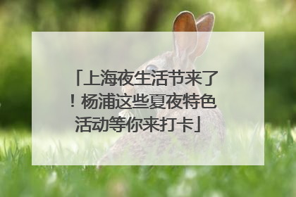 上海夜生活节来了！杨浦这些夏夜特色活动等你来打卡
