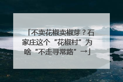 不卖花椒卖椒芽？石家庄这个“花椒村”为啥“不走寻常路”→