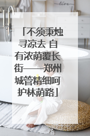 不须秉烛寻凉去 自有浓荫覆长街——郑州城管精细呵护林荫路