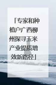 专家和种植户广西柳州探寻玉米产业提质增效新路径