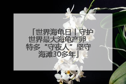 世界海龟日丨守护世界最大海龟产卵 特多“守夜人”坚守海滩30多年