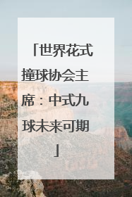 世界花式撞球协会主席：中式九球未来可期