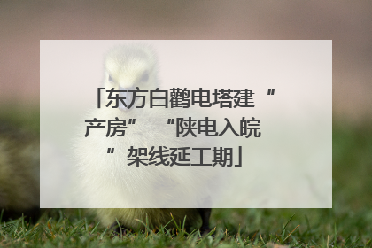 东方白鹳电塔建“产房” “陕电入皖”架线延工期
