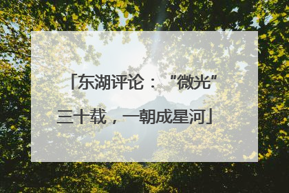 东湖评论：“微光”三十载，一朝成星河