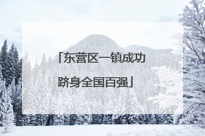 东营区一镇成功跻身全国百强