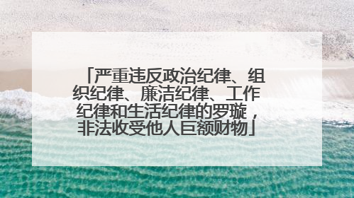 严重违反政治纪律、组织纪律、廉洁纪律、工作纪律和生活纪律的罗璇，非法收受他人巨额财物