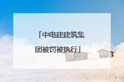 中电建建筑集团被罚被执行