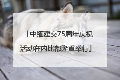 中缅建交75周年庆祝活动在内比都隆重举行