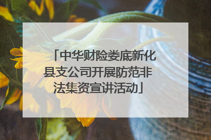 中华财险娄底新化县支公司开展防范非法集资宣讲活动