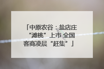 中原农谷：盐店庄“滩桃”上市 全国客商凌晨“赶集”